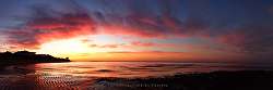 Peter Shinyeda Photography